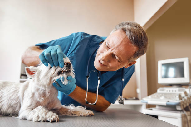 Best After-Hours Dental Trauma Care in Eufaula, OK